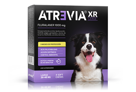 atrevia-xr-large-1-tableta-20-a-40-kg