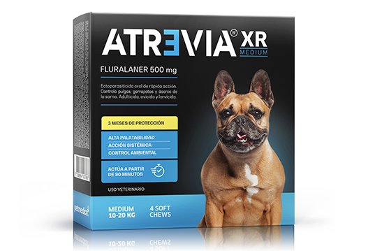 atrevia-xr-medium-1-tableta-10-a-20-kg