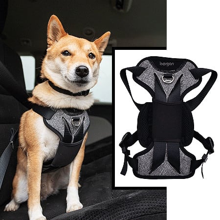 auto-harness-bergan-small