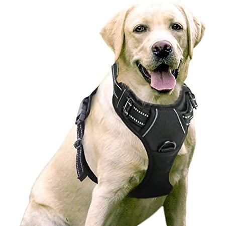 pet-safety-harness-l-65-80cm-negro
