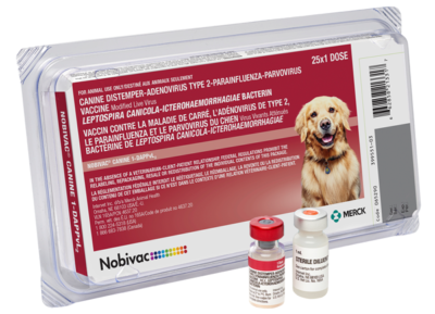 Multiple Canine1-DAPVL2 - Vacuna múltiple
