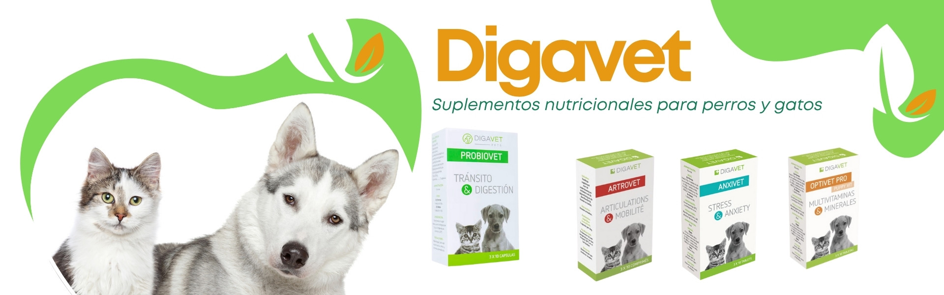Digavet